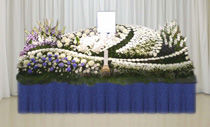 家族葬・一般葬（D）プラン（12尺生花祭壇）
